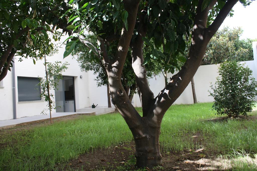 Residencia Mayol - Adults Only Palma de Mallorca Phòng bức ảnh